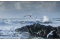 1 tempête au sable 2013